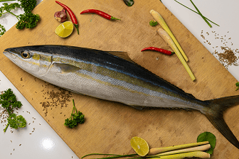 Rainbow Runner