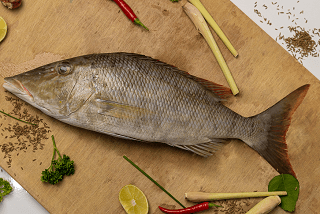 Emperor Fish