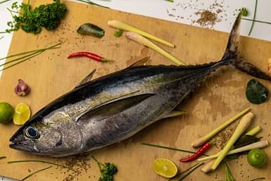 Yellowfin Tuna Whole