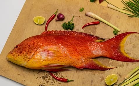 Grouper