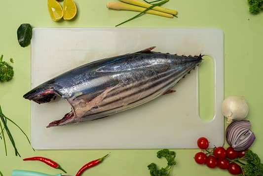 Skipjack Tuna G&G