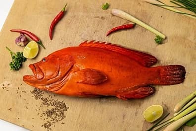 Red Snapper