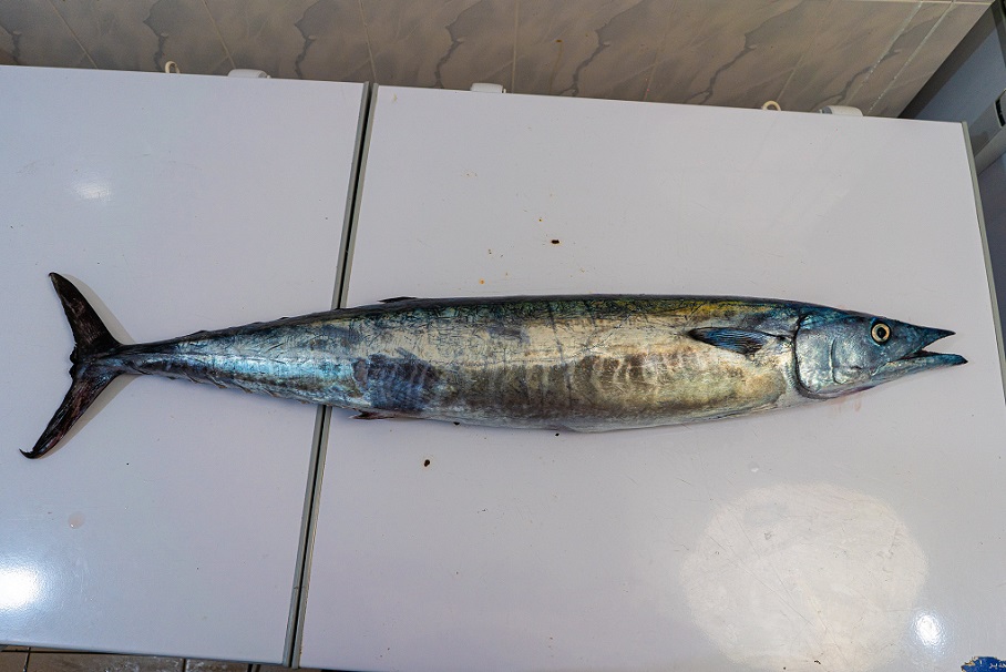 Wahoo 3
