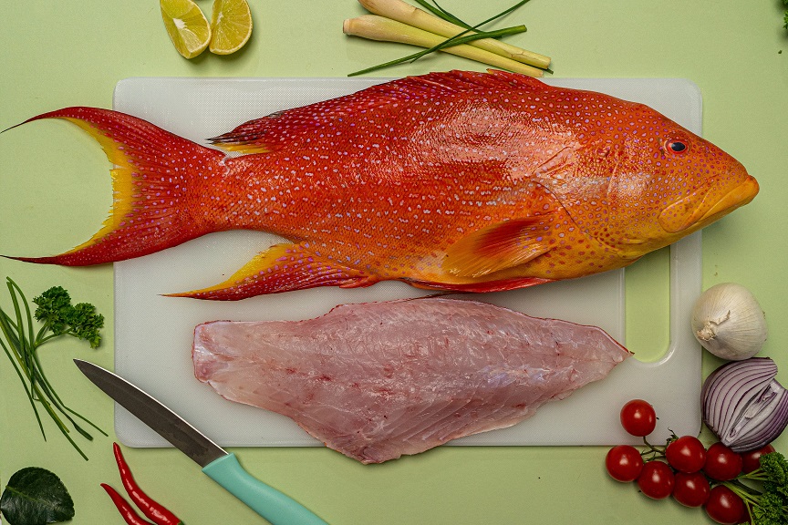 Grouper 3