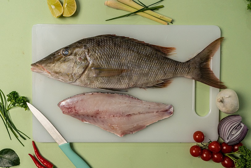 Emperor Fish 3