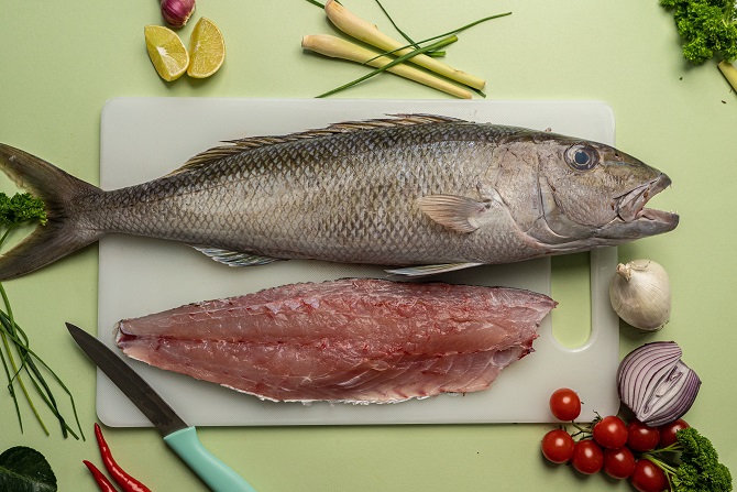 Jobfish 3