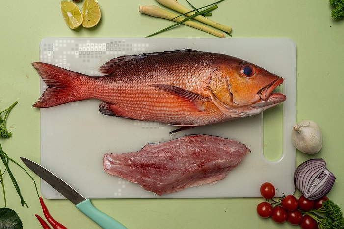 Red Snapper 4
